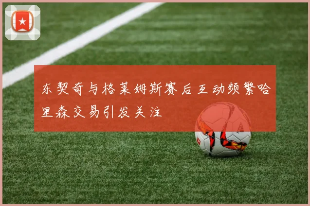 东契奇与格莱姆斯赛后互动频繁哈里森交易引发关注